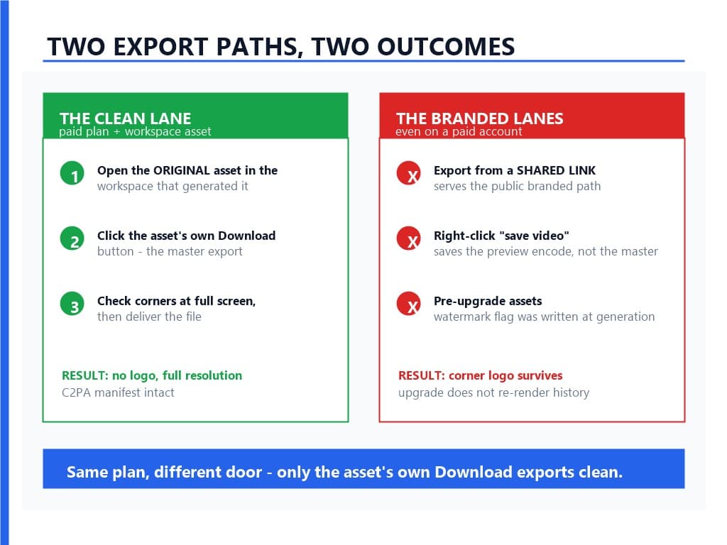 Two-column diagram comparing the clean lane, which exports the workspace asset through its own Download button, with the branded lanes of shared-link exports, right-click preview saves, and pre-upgrade assets that keep the corner logo