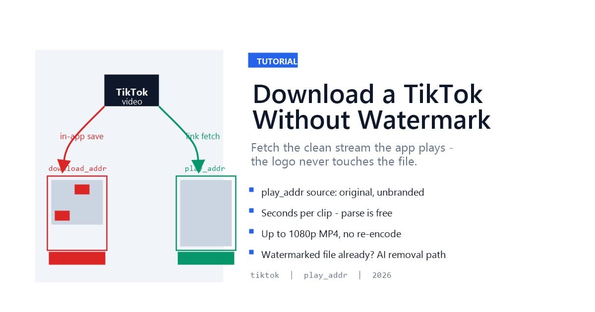 How to Download a TikTok Without the Watermark (2026)